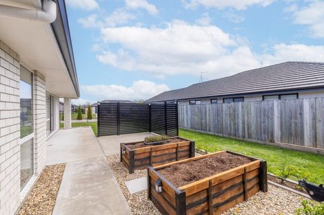 Photo of property in 41 Hinerangi Crescent, Matamata, 3400