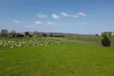 Photo of property in 117 Chamberlain Road, Te Awamutu, Cambridge, 3879