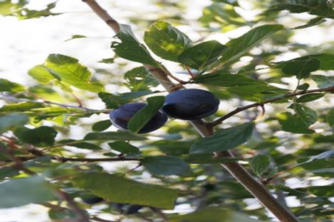 Photo of property in 158 North Avon Road, Richmond, Christchurch, 8013