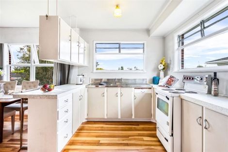 Photo of property in 53 Manhattan Heights, Glendene, Auckland, 0602