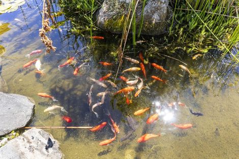 Photo of property in 70a Kirton Drive, Riverstone Terraces, Upper Hutt, 5018