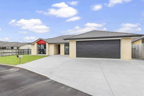 Photo of property in 11 Jack Rise, Grandview Heights, Hamilton, 3200