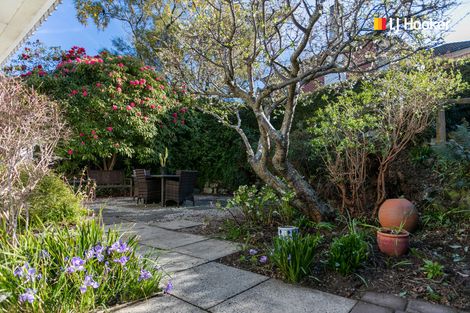 Photo of property in 103 Shetland Street, Wakari, Dunedin, 9010