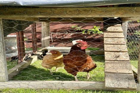 Photo of property in 20 Tawhara Place, Edgecumbe, 3120