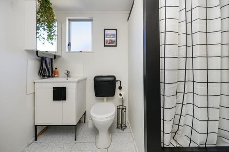 Photo of property in 101a Limbrick Street, Terrace End, Palmerston North, 4410