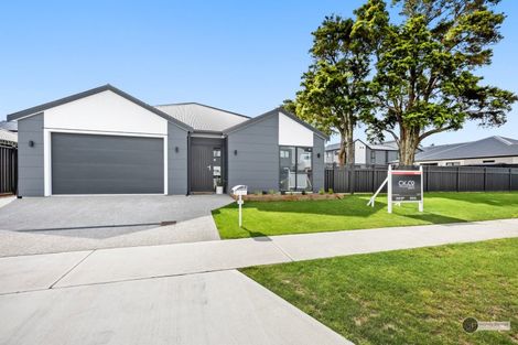Photo of property in 24 Castletown Street, Wallaceville, Upper Hutt, 5018