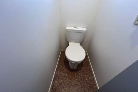 Photo of property in 43 Water Street, Otahuhu, Auckland, 1062