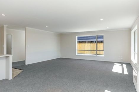 Photo of property in 134 Turnbull Drive, Witherlea, Blenheim, 7201