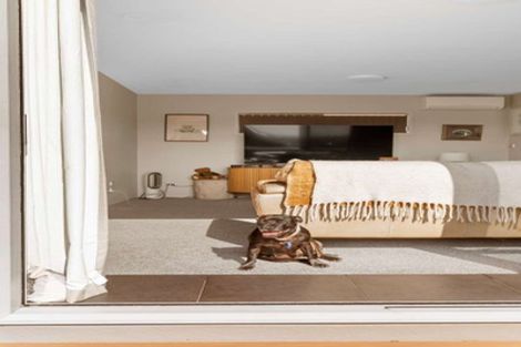 Photo of property in 31b Linley Terrace, Judea, Tauranga, 3110