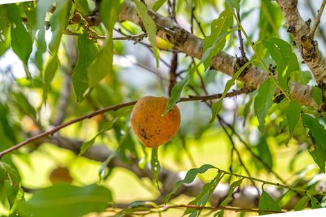 Photo of property in 5 Church Street, Aratapu, Dargaville, 0371
