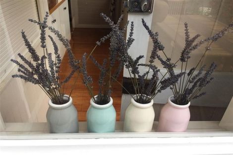 Photo of property in 58 Mcgrath Street, Napier South, Napier, 4110