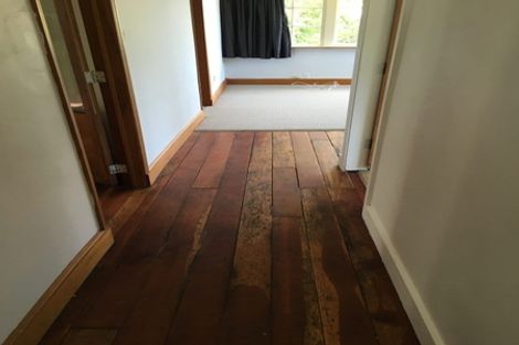 Photo of property in 9 Mortimer Terrace, Aro Valley, Wellington, 6021