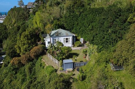 Photo of property in 156 Battery Road, Hospital Hill, Napier, 4110