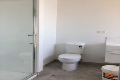 Photo of property in 217 Borman Road, Rototuna North, Hamilton, 3210