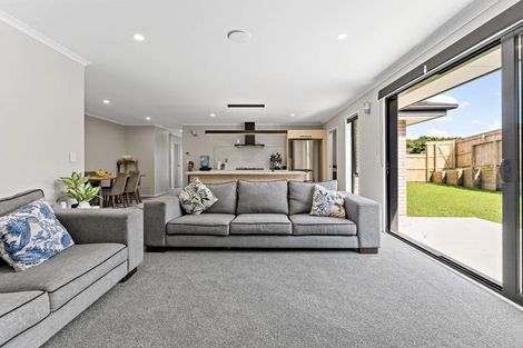 Photo of property in 31 Coptic Terrace, Pokeno, 2402