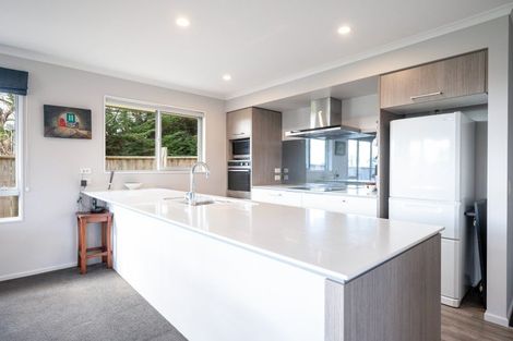 Photo of property in 4 Campari Drive, Richmond, 7020