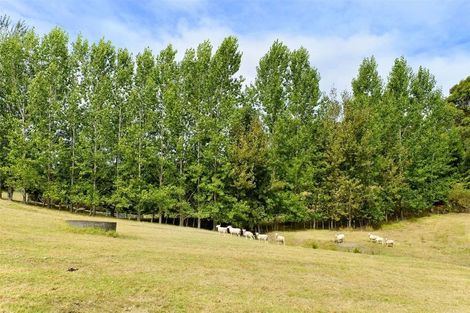 Photo of property in 50 Wright Road, Dairy Flat, Albany, 0794