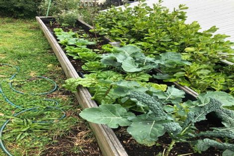 Photo of property in 38 The Parade, Paekakariki, 5034