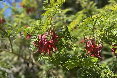 Photo of property in 94 Hill Road, Belmont, Lower Hutt, 5010