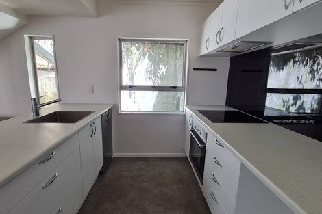 Photo of property in Parklane Mews, 326a The Terrace, Te Aro, Wellington, 6011