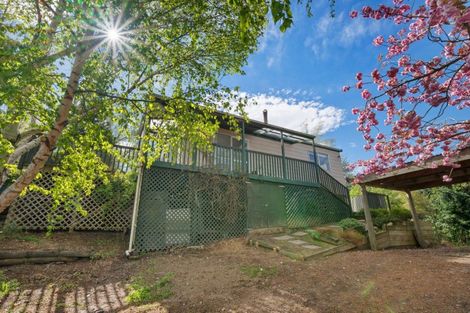 Photo of property in 12 Ness Street, Naseby, 9396