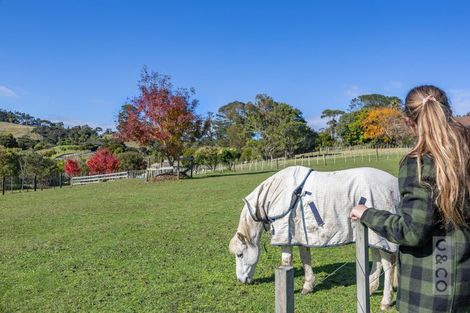 Photo of property in 25 School Road, Waimauku, 0881