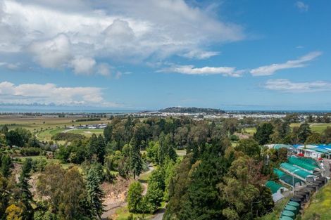 Photo of property in 88 Oak Road, Poraiti, Napier, 4112