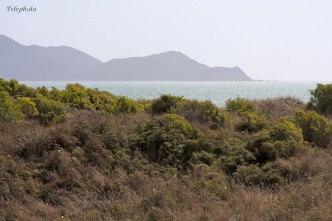 Photo of property in 47 Pingoa Lane, Peka Peka, Waikanae, 5391