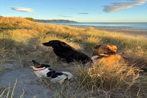 Photo of property in 61 Broadway Road, Waihi Beach, 3611