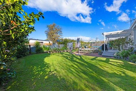Photo of property in 21 Howick Road, Blenheim, 7201
