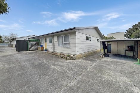 Photo of property in 35 Knowles Street, Terrace End, Palmerston North, 4410