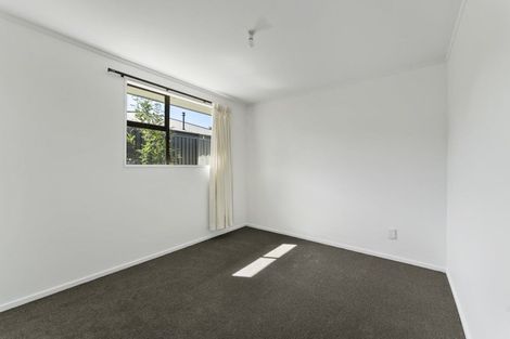 Photo of property in 112a Neplusultra Street, Cromwell, 9310