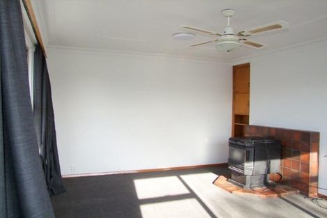 Photo of property in 217 Union Street, Milton, 9220