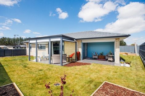 Photo of property in 10 Kereru Street, Marton, 4710