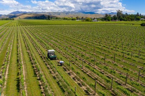 Photo of property in 249 New Renwick Road, Burleigh, Blenheim, 7272