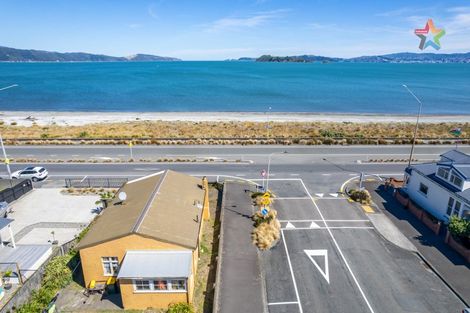 Photo of property in 217 The Esplanade, Petone, Lower Hutt, 5012