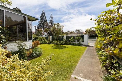 Photo of property in 11 Bank Street, Springlands, Blenheim, 7201