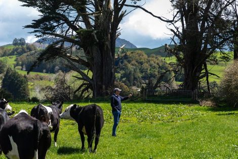 Photo of property in 100 Franklin Road, Waihi, 3682