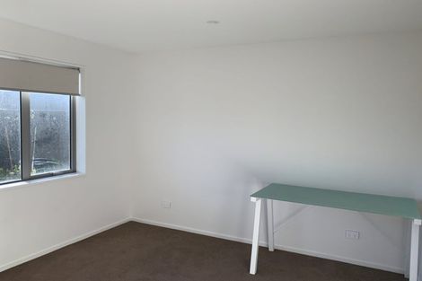 Photo of property in 65 Zabeel Street, Lincoln, 7608