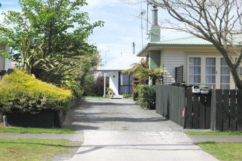 Photo of property in 1/17 Duncan Street, Taupo, 3330