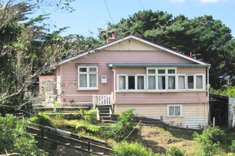 Photo of property in 48 Balfour Street, Mornington, Wellington, 6021