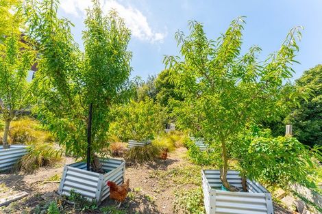 Photo of property in 56a Kent Street, Marchwiel, Timaru, 7910