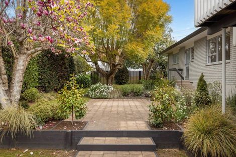 Photo of property in 30 Edgecumbe Road, Tauranga, 3110