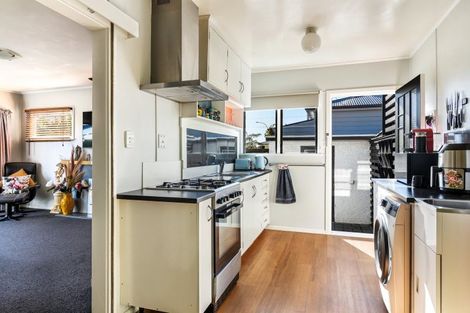 Photo of property in 163 Milton Street, The Wood, Nelson, 7010