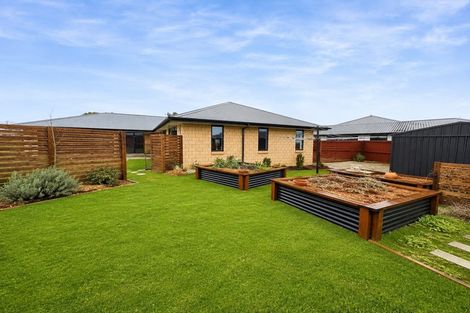 Photo of property in 6 Tauhou Place, Leeston, 7632