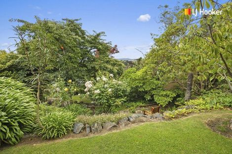 Photo of property in 43 Elliffe Place, Shiel Hill, Dunedin, 9013