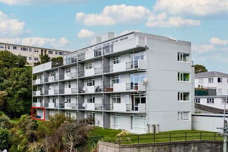 Photo of property in Manston Apartments, 1a/145 Ohiro Road, Brooklyn, Wellington, 6021