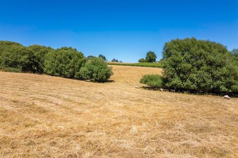 Photo of property in 50 Cliff Road, Tasman, Upper Moutere, 7173