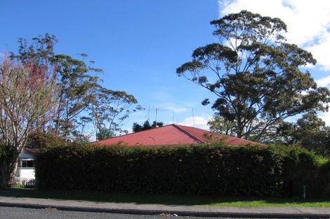 Photo of property in 24 Albert Street, Kawakawa, 0210