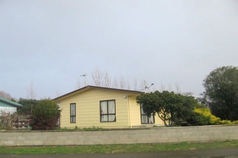 Photo of property in 17 Bangor Street, Flaxmere, Hastings, 4120